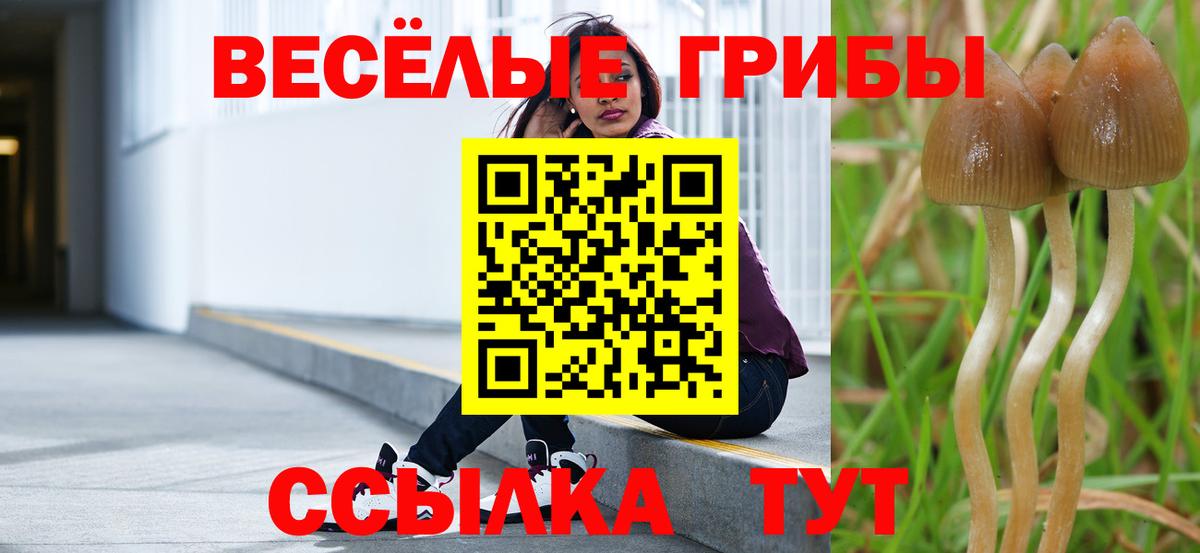 Галлюциногенные грибы Psilocybe  Вход с VPN  Холмск 